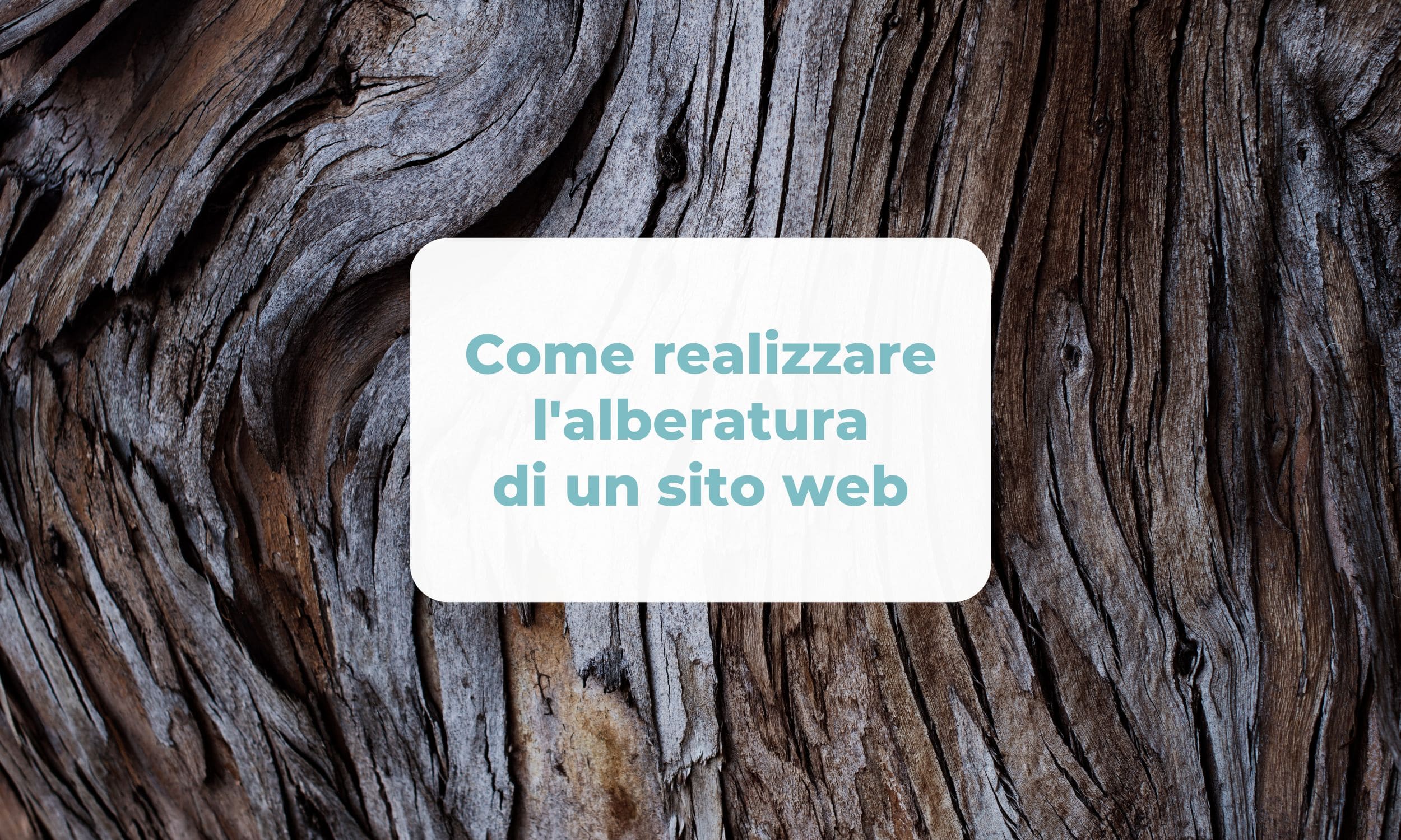 Come realizzare l'alberatura di un sito web